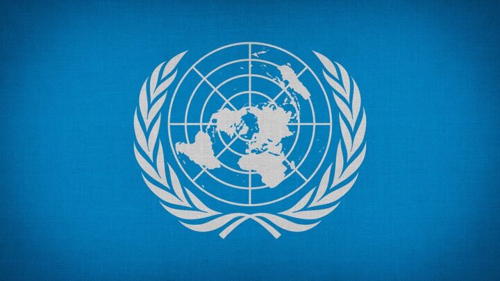 Commissione Nazioni Unite diritti Umani ONU
